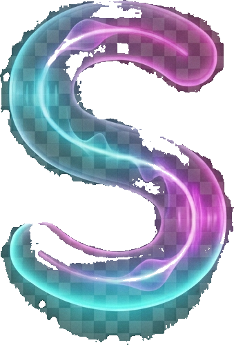 SECCION Icon
